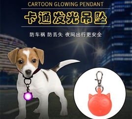 喵星汪星那些事 这几件宠物用品，或许就是你的救星