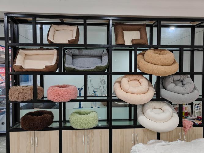 安徽好奇佳宠物用品 以匠心与科技，守护爱宠健康生活