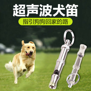 弥笛衬衫图片大全 宠物用品的时尚之选